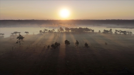 Onze Natuur Het wilde Belgie | film | filmhuis | Corrosia | Almere Haven